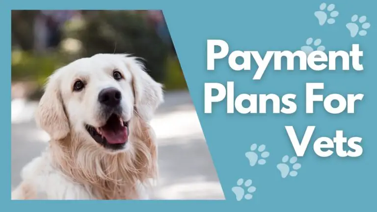 Payment Plans for Vets